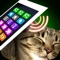 Lullaby Cat Simulator - a simulation game where you can play a sound to help the kitten to sleep