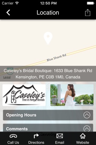 Caseley's Bridal Boutique screenshot 3