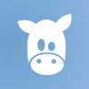 no app image