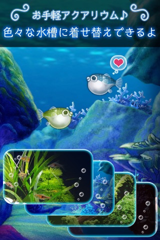 ぼくのフグさん水族館 【無料でかわいい癒し系育成ゲーム】 screenshot 3