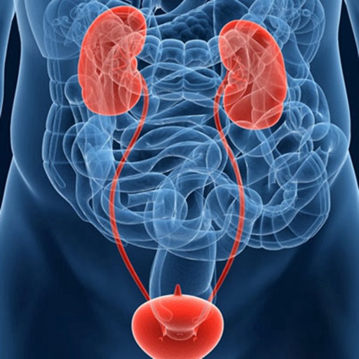 Bladder Cancer:Treatment and Natural Remedies