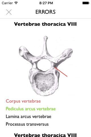 Easy Anatomy. Atlas learning screenshot 3