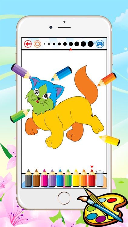 Cat Coloring Book - All In 1 Animal Drawing