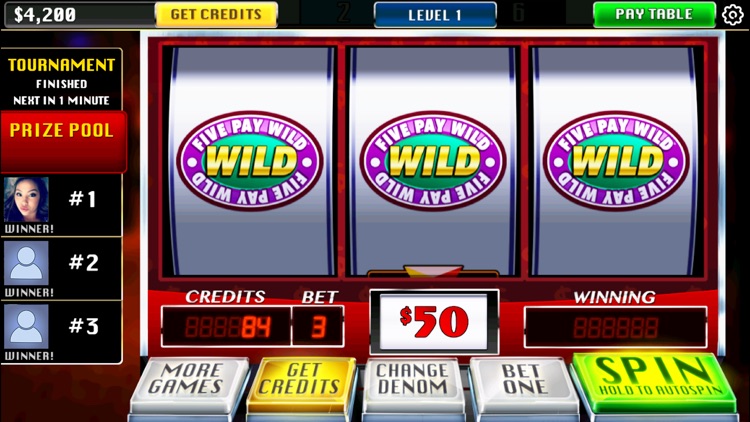 Fun Vegas Slots screenshot-4