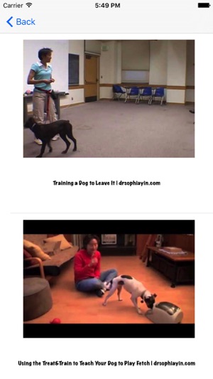 Dog Training (Free)(圖2)-速報App