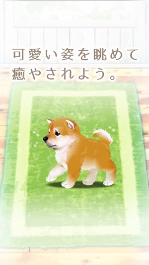 癒しの子犬育成ゲーム 柴犬編 無料 をapp Storeで