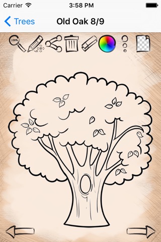 Easy Draw Trees And Leaves screenshot 4