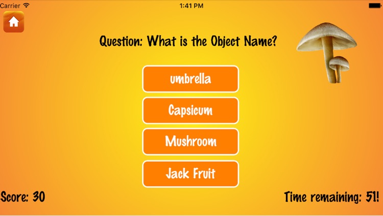 Toddler Quizzes