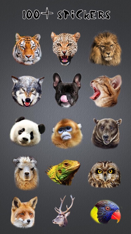 Animal Face Morph Pro - Sticker Photo Editor to Blend Yr Skin with Wild Effects screenshot-3