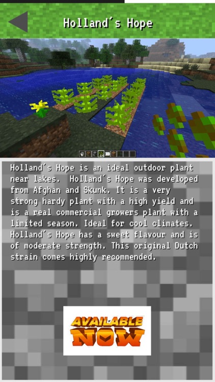 Marijuana Mod for Minecraft PC - Amazing Guide screenshot-3
