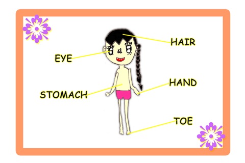 human body parts name diagram english learning screenshot 3