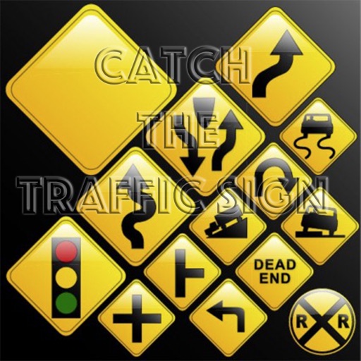 Catch The Traffic Sign Icon