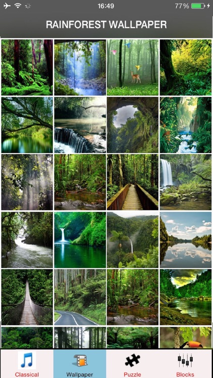 Rainforest Wallpaper & Rainforest Sounds & Rainforest Info