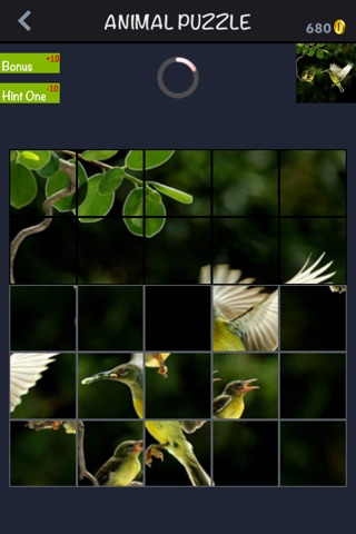 Pic Puzzle - Animal screenshot 4