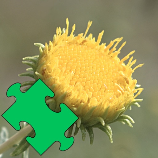 Medicinal Plants Puzzles icon