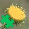 Medicinal Plants Puzzles - is a great game with the most interesting photos and info