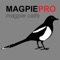 REAL Magpie Calls for Hunting & Magpie Sounds! -- BLUETOOTH COMPATIBLE