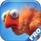 Freaky Flying Flapping Birds PRO : The Pipe Maze World