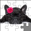 Puppy-Puzzle Animal Jigsaw With Cute Baby Dog Puzzle Bits-Pieces