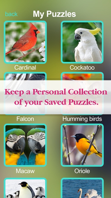 Puzzles Amazing Jigsaw Birds Collection Pro