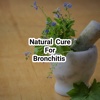 Natural cure for bronchitis