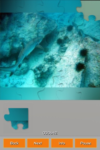 Coral Reefs Jigsaw Puzzles screenshot 2