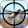 Wildlife Hunting : Bird Shooting New Season