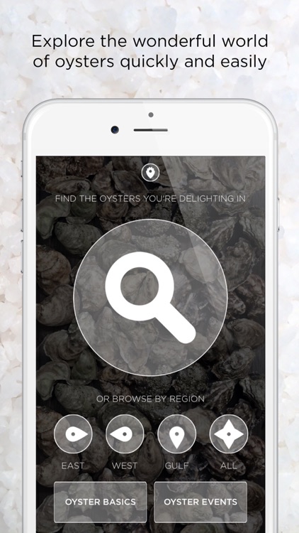 Oystour - Your Premier Guide to Learn and Know More About Oysters!
