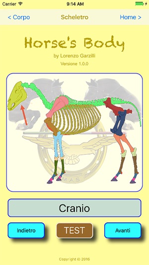 HorseBody(圖4)-速報App