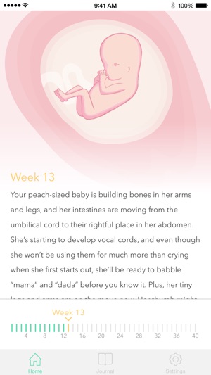 Pregnancy Tracker !(圖3)-速報App