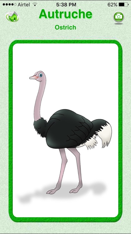 Flashcards French Lesson