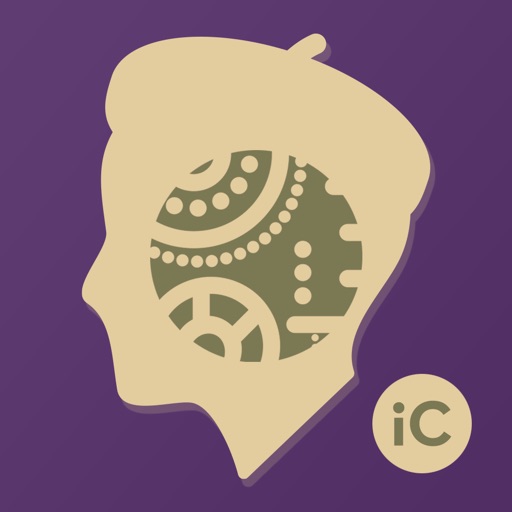 iC Painter - Auto Painter for iColorama