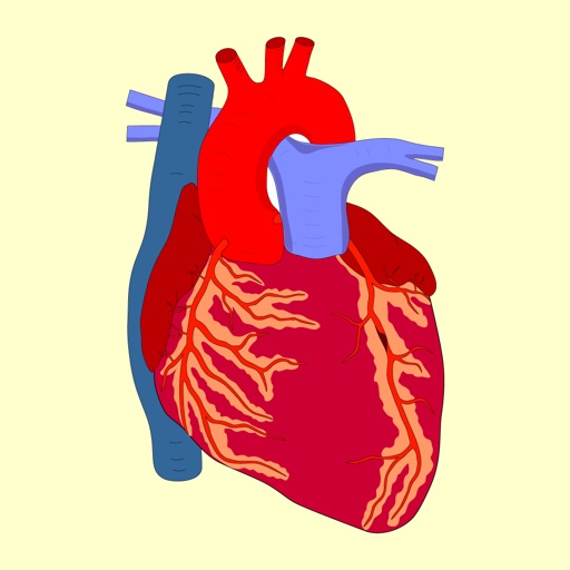 Learn Medical Terminology icon