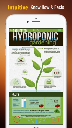 Hydroponics for Beginners-Growing Guide 