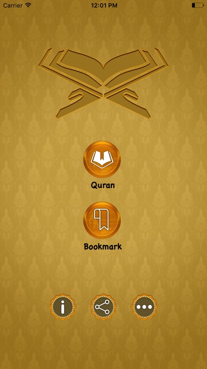 German Quran Translation and Reading