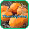 Thanksgiving Greeting Cards Maker for iPhone