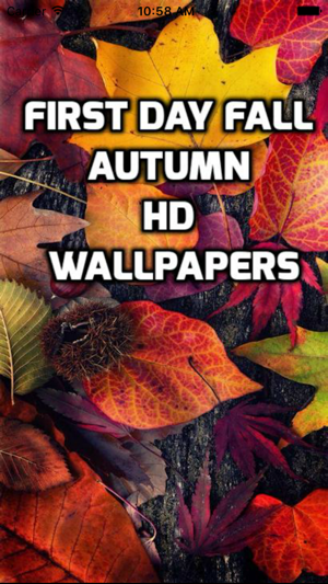 First Day Fall - Autumn HD Wallpapers(圖1)-速報App