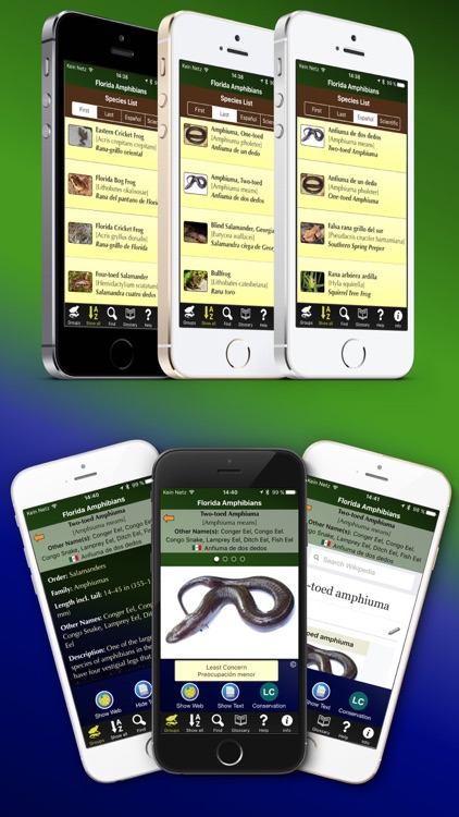 Florida Amphibians - Guide to Common Species screenshot-3