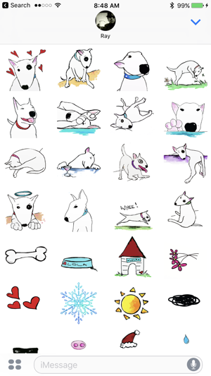 Lola The Bull Terrier(圖1)-速報App