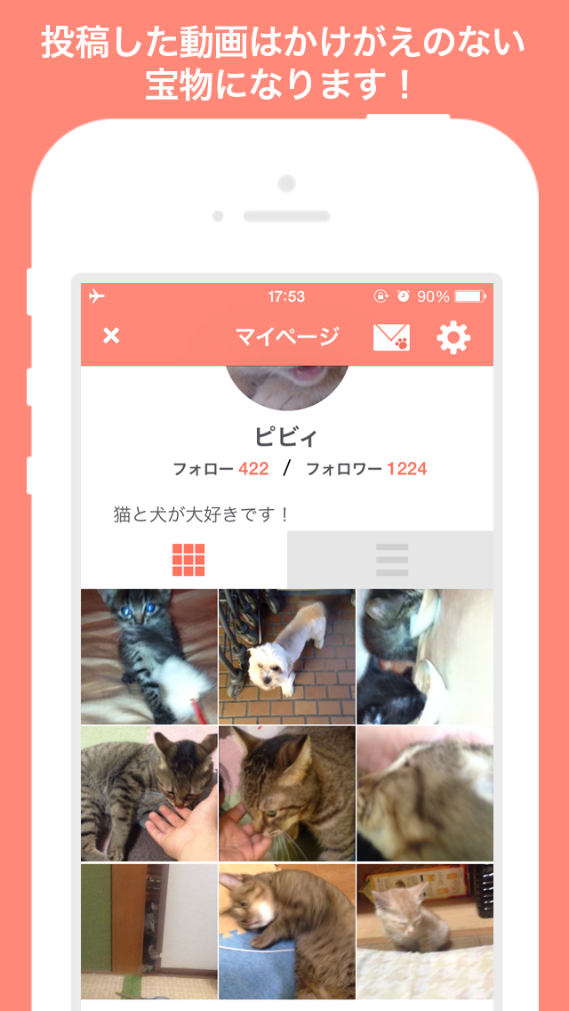 犬や猫の動画がいっぱい！動画編集も簡単！〜PiVid〜のおすすめ画像4