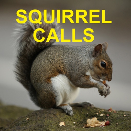 Squirrel Hunting Calls iOS App