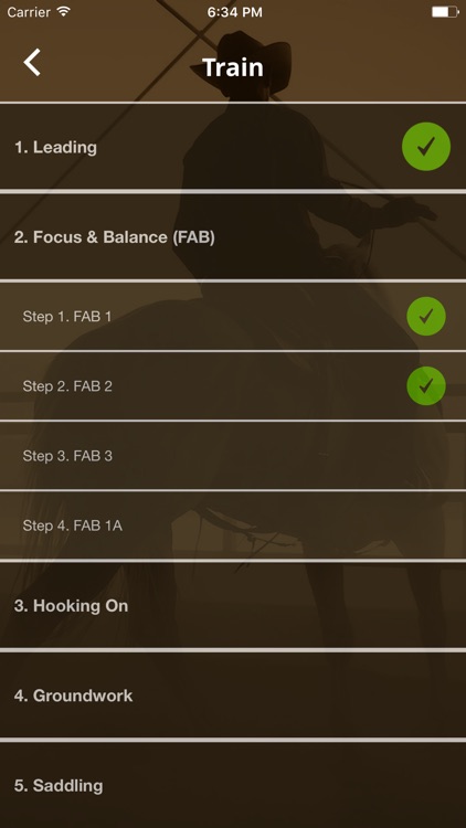 Warwick Schiller's Horse Training Checklist screenshot-3