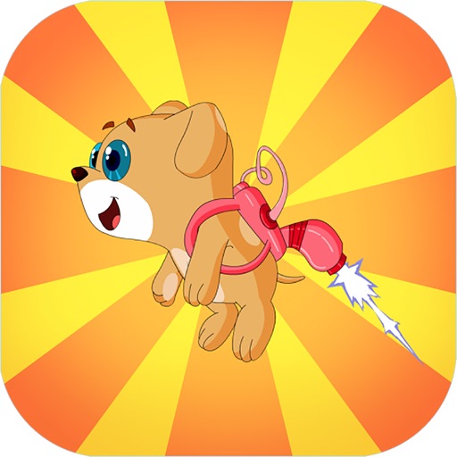 JetPack Bear Pro iOS App