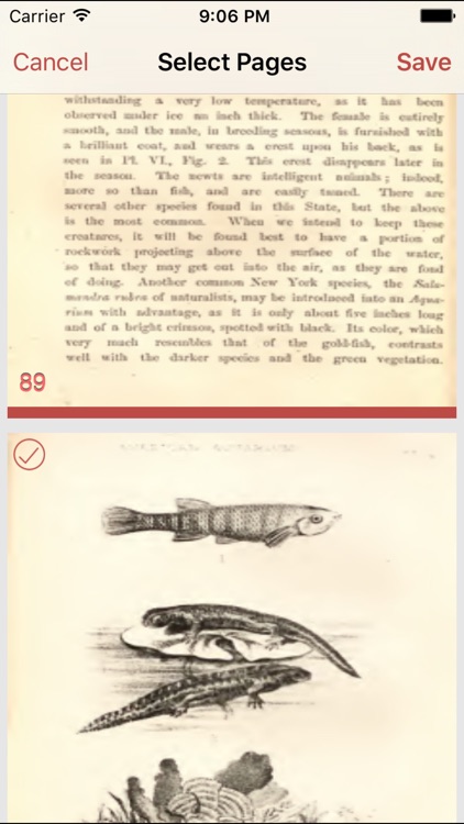 PDF Page Clipper screenshot-3
