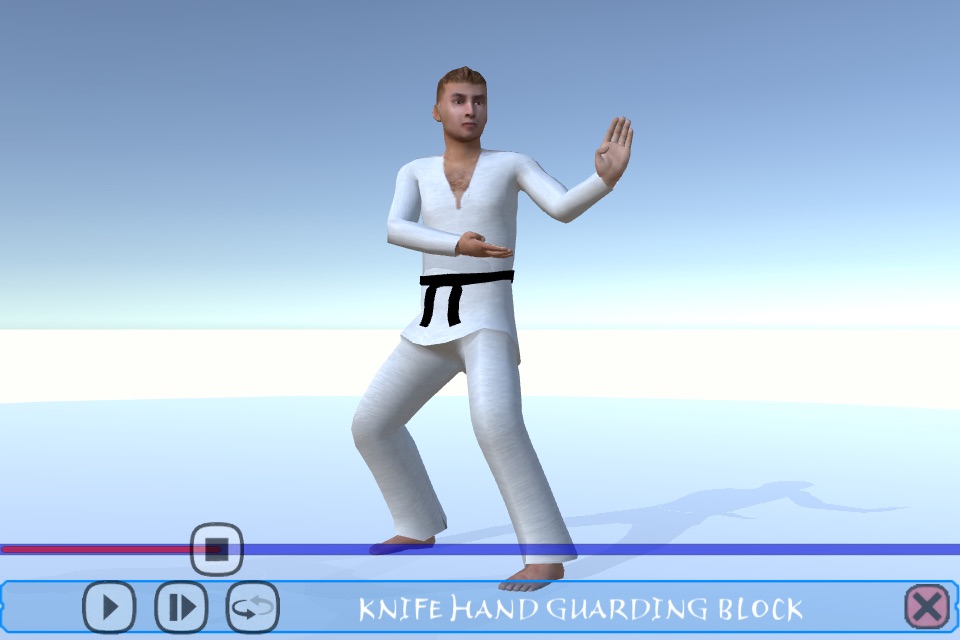 Taekwondo Poomsae screenshot 3