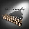 Quick Wisdom from Tribal Leadership-Natural Groups
