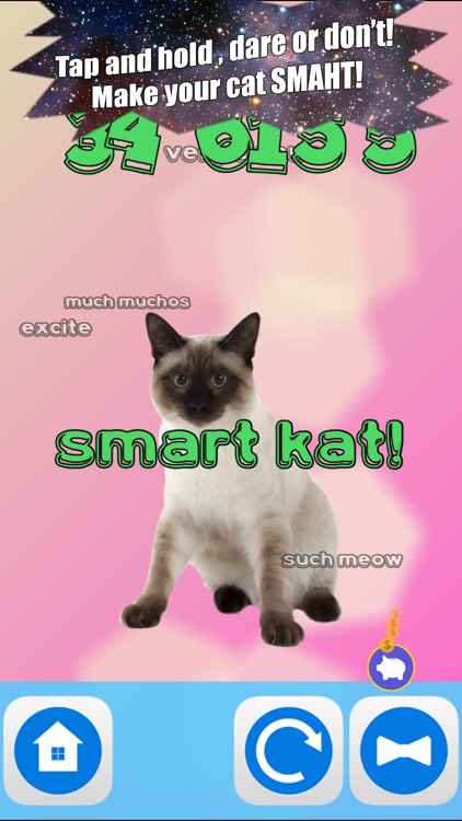 Smart Kat