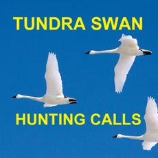 Activities of Tundra Swan Hunting Calls - BLUETOOTH COMPATIBLE
