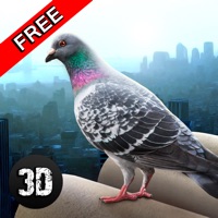 City Pigeon Simulator 3D apk