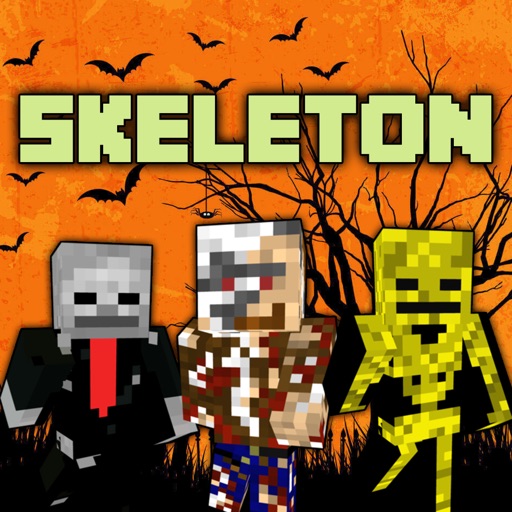 Skeleton Skins - Best Skins for Minecraft PE & PC icon